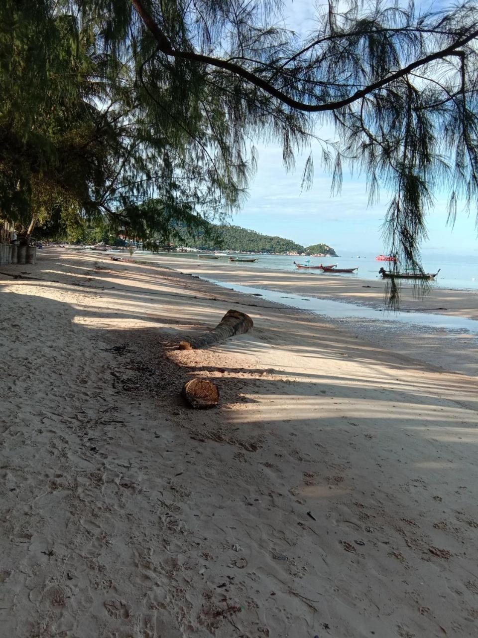 Prik Thai Resort Koh Tao Exterior photo